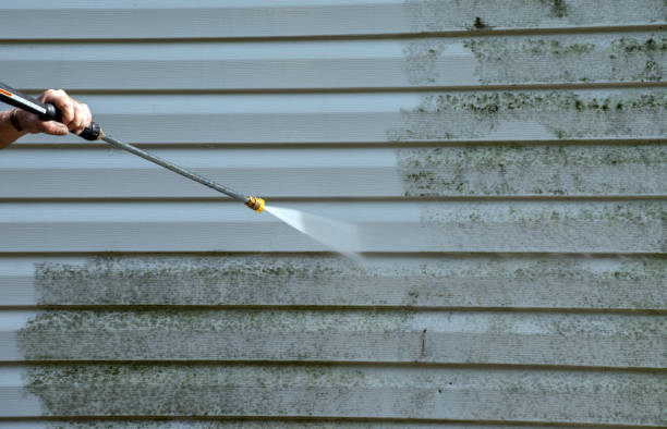 Best Fast Mold Removal  in Bethany, OK