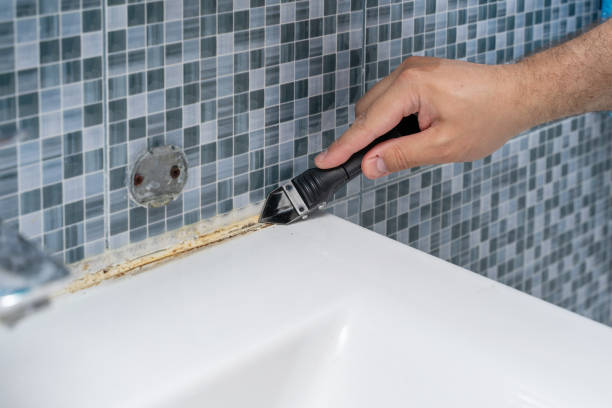 Best Mold Remediation  in Bethany, OK