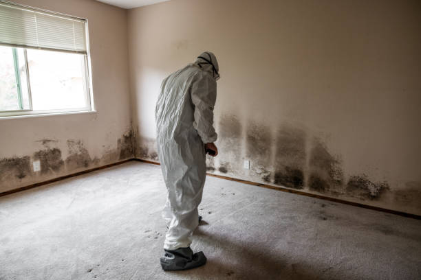 Best Office Mold Removal Services  in Bethany, OK